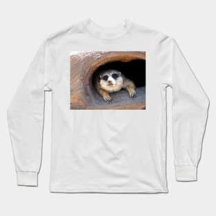 Meerkat posing from a Tree Stump Long Sleeve T-Shirt